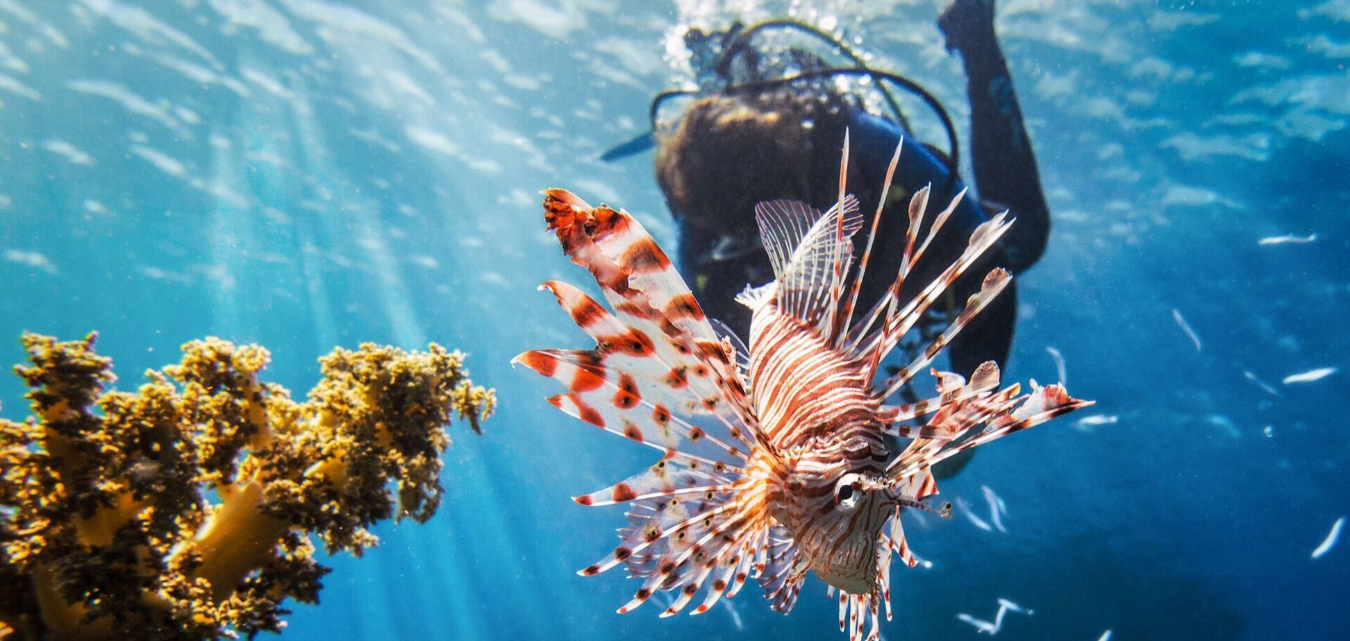 Что нужно знать перед поездкой в Египет: 7 главных советов туристам