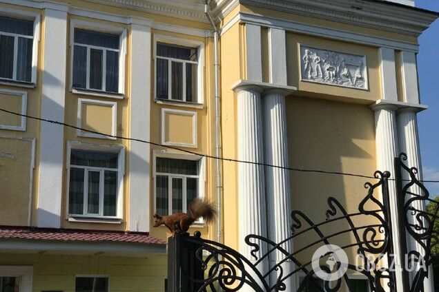 'Образцовый' район ДВРЗ в Киеве: сталинки, парки и дети с таблеткой. Фото