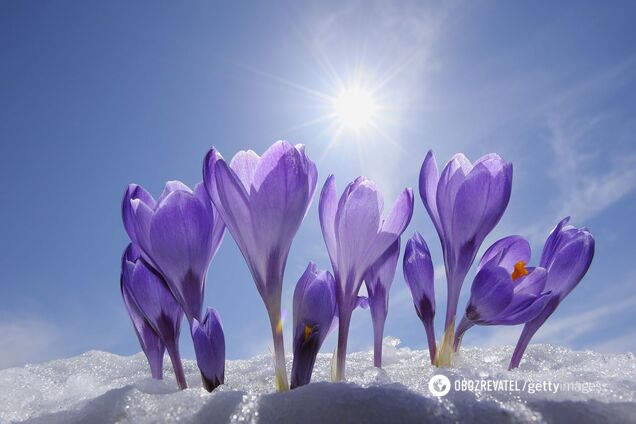 Синоптик объяснил, когда придет настоящая весна