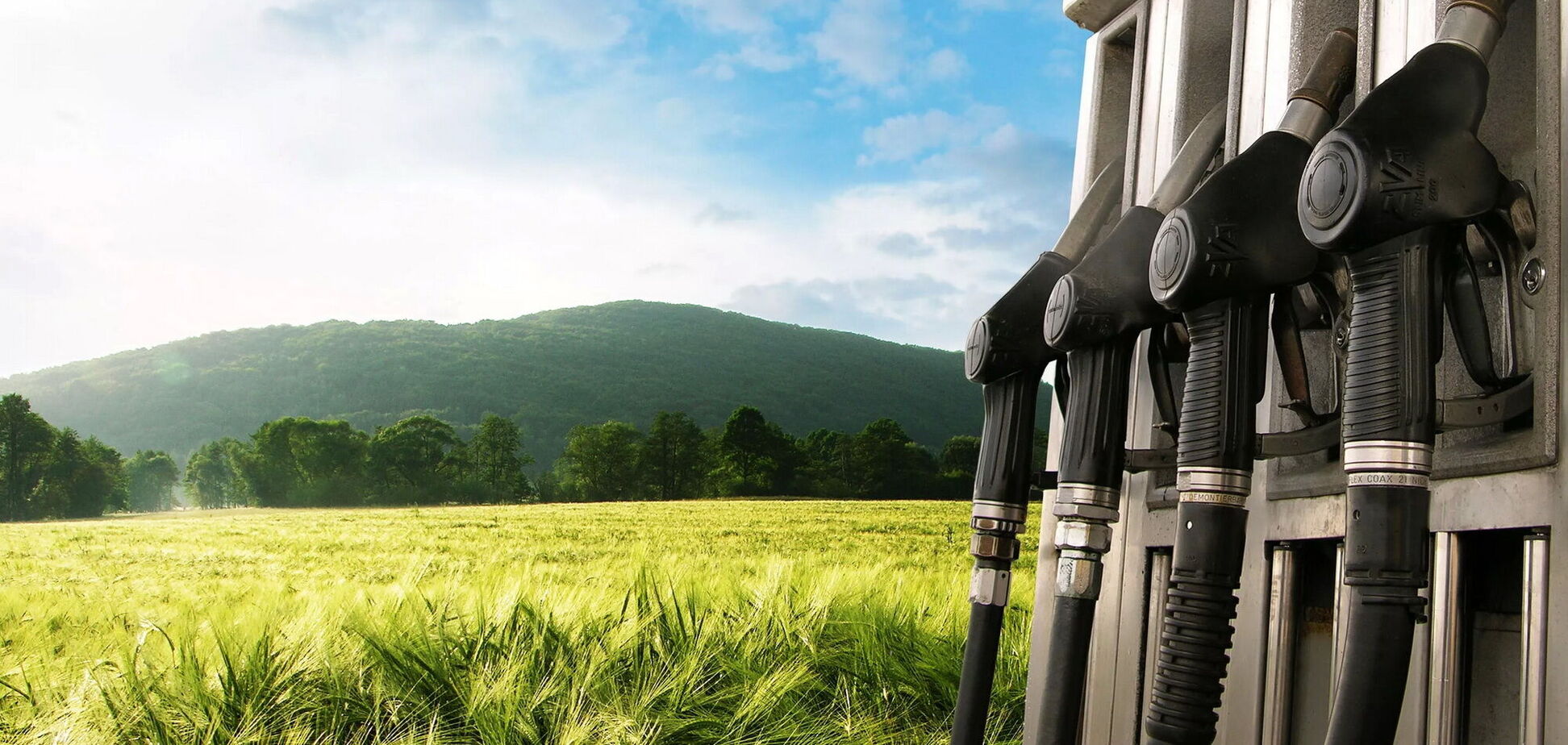 'Спиртовой' бензин – достойная альтернатива или обман: результаты исследований