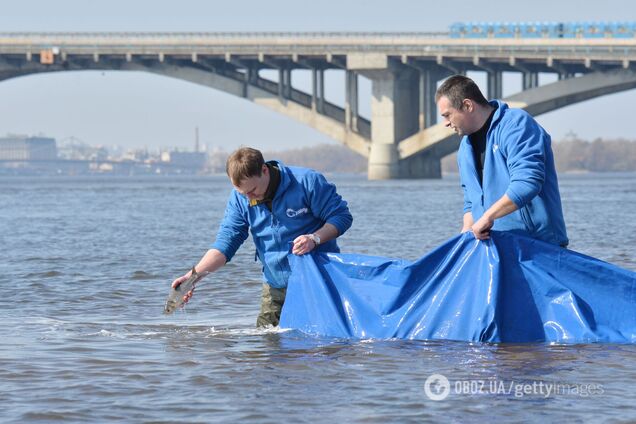 Українці можуть залишитися без питної води: Дніпро перетворюється в болото