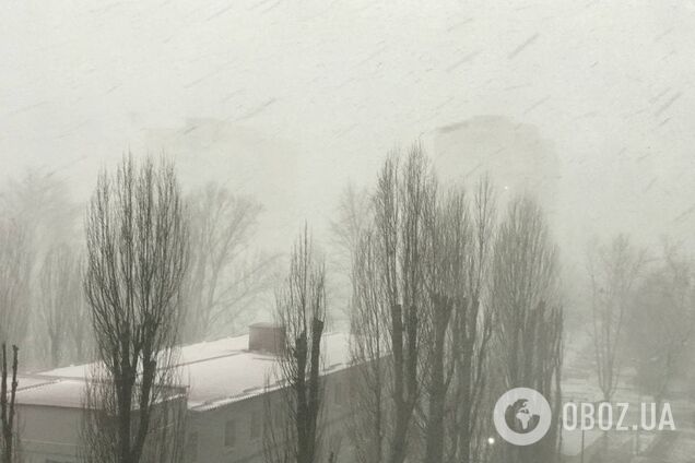 Київ накрили дуже сильні снігопади. Фото