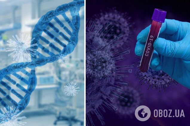 Ученые спрогнозировали до 20 тыс. новых случаев COVID-19 за сутки в Украине: где ожидается больше всего больных