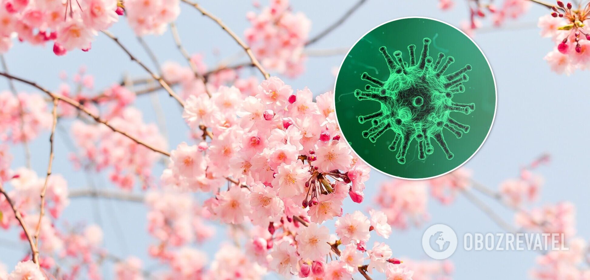 Коронавирус