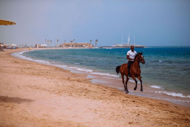 Египетские Мальдивы: 6 причин, почему Rixos Premium Magawish Suites & Villas – идеальное место для отдыха