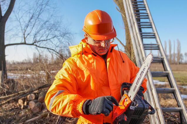 Весенние работы на даче: эксперты дали советы, какую технику выбрать