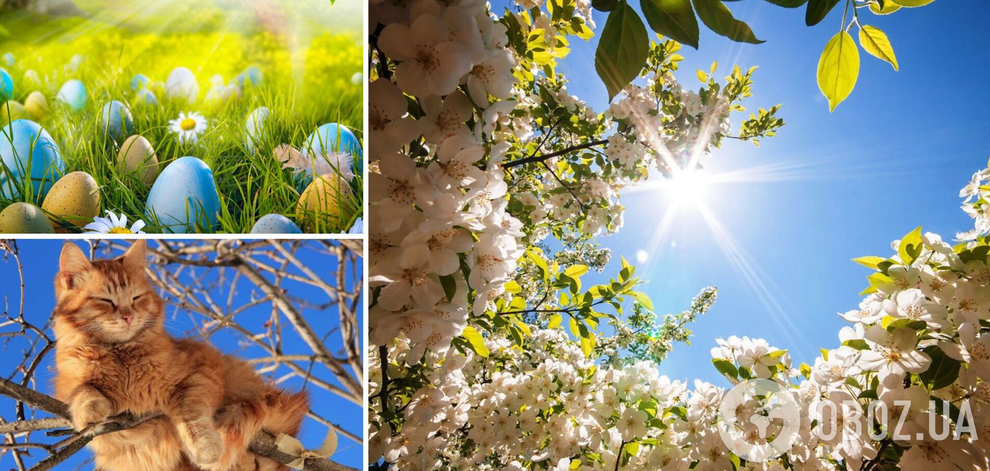 Народный синоптик рассказал, когда в Украине потеплеет и какой погода будет на Пасху