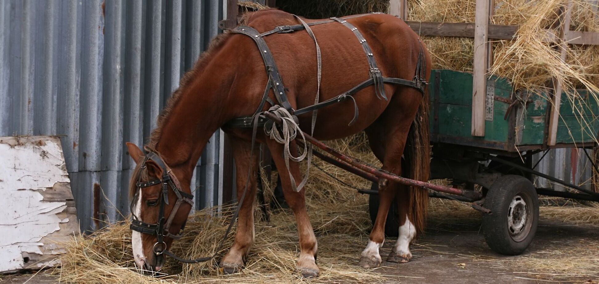 29 марта: что нельзя делать в Саввин день, приметы и именинники
