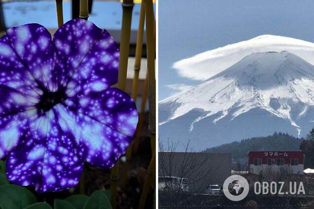 Ці природні явища насправді вас здивують
