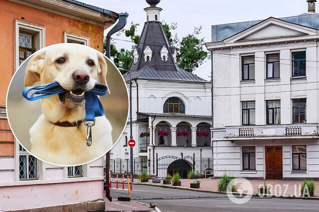 Территория полностью ограждена