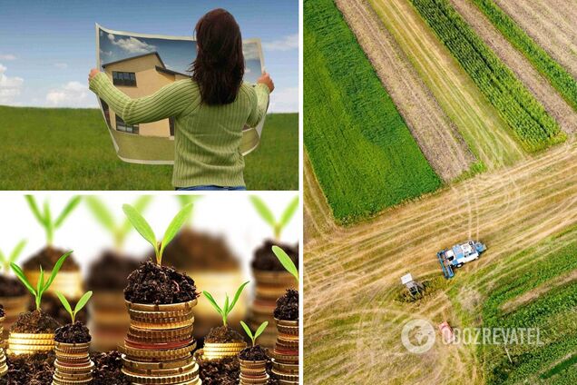 Міністр агрополітики розповів, скільки буде коштувати гектар землі в Україні