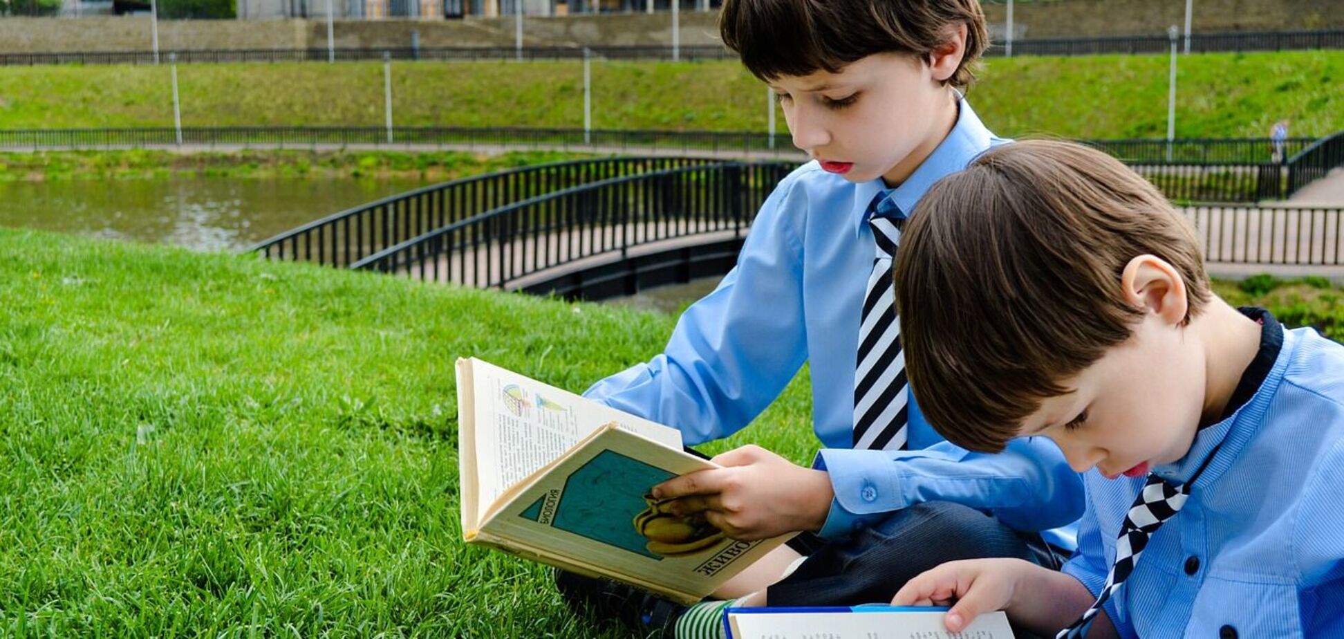 Школярі часто пишуть кумедні вислови у своїх творах