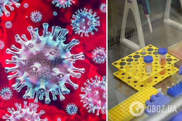 ВООЗ оприлюднила звіт про первісне джерело коронавірусу: схема поширення