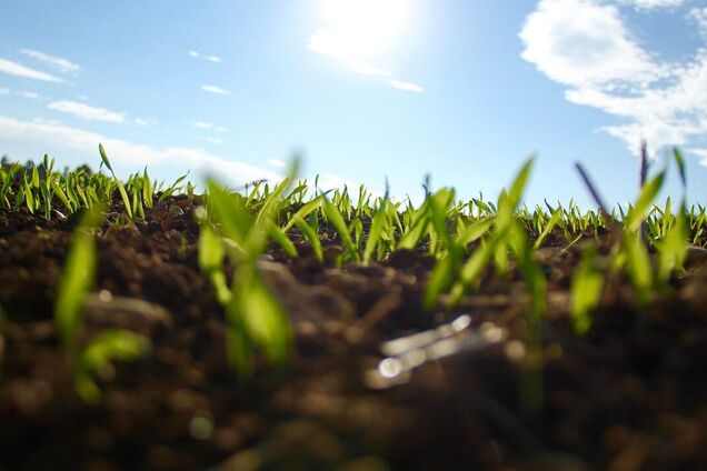 В Украину пришло потепление: синоптики уточнили прогноз погоды на среду. Карта