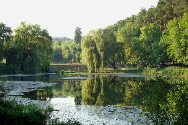 На территории хотят создать несколько локаций для отдыха