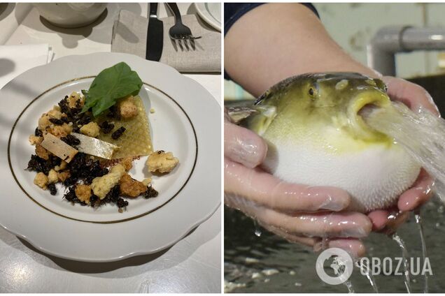 Блины из крови и жареные пчелы: топ блюд в мире, которые рискнет попробовать не каждый. Фото