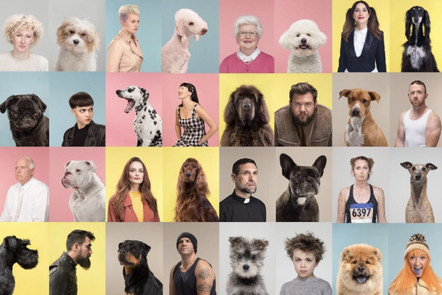 Собаки і коти повторюють вирази обличчя людей