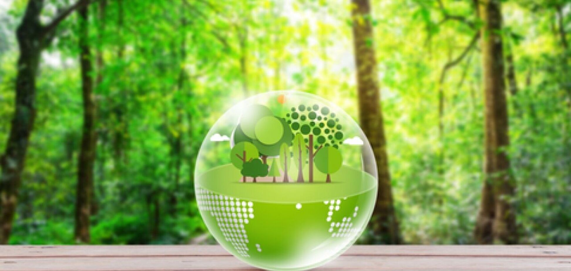 Меняем мир вместе: НБУ внедряет инициативы в сфере 'зеленых' финансов