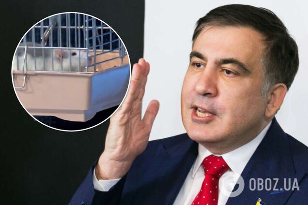 Саакашвили пришел на эфир с крысой 'Коррупцией'. Видео