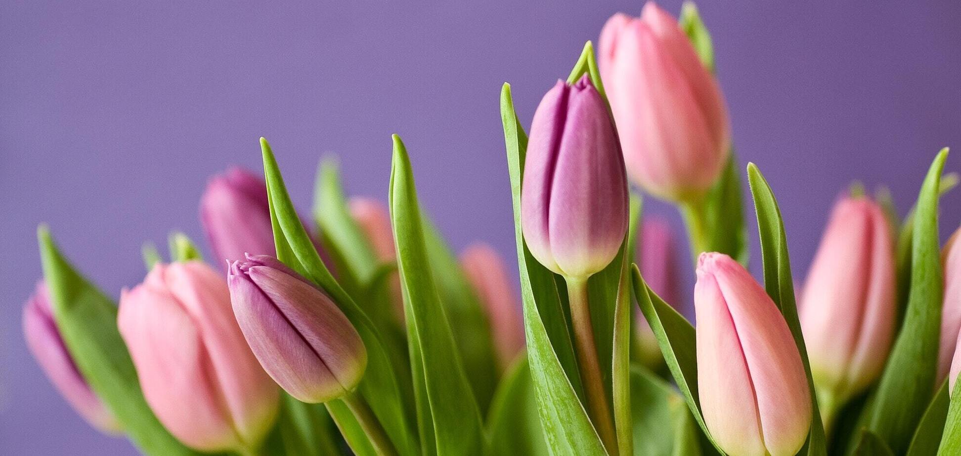 8 марта: что нельзя делать, праздники и приметы