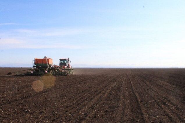 Объем теневой аренды земли в Украине достигает 90 млрд грн – Минагрополитики