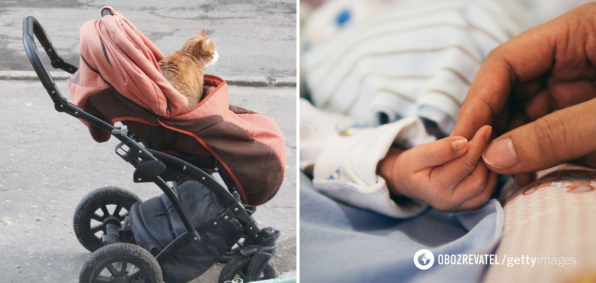 На Ривненщине кот задушил 4-месячного ребенка