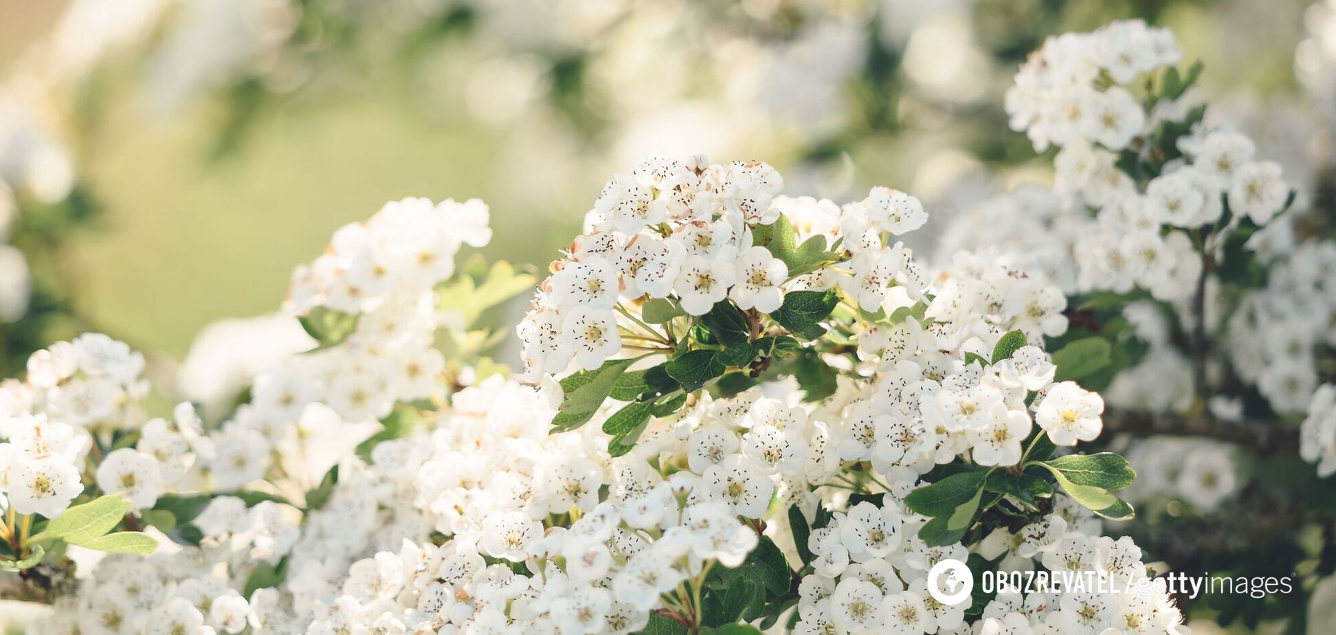 Выходные в мае 2021 в Украине: сколько будем отдыхать