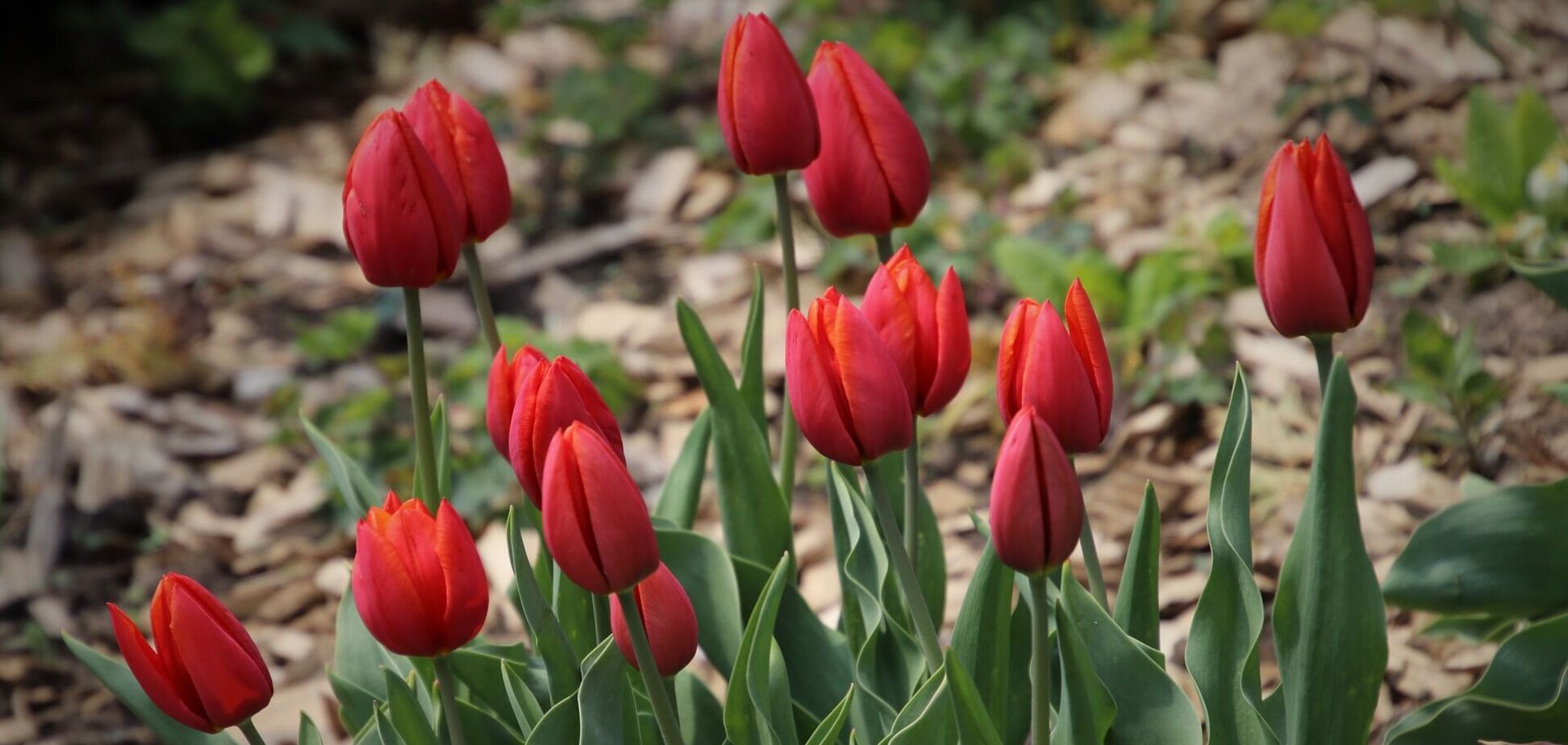 2 апреля праздники: запреты, приметы и именинники