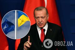 Ердоган підтримав надання Україні ПДЧ щодо НАТО