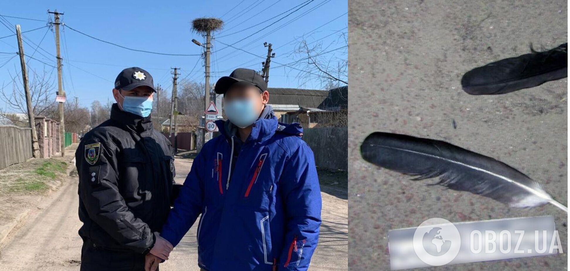 На Київщині затримали чоловіка, який застрелив лелеку заради розваги