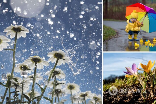 В Україні погіршиться погода: два циклони принесуть похолодання, дощі та мокрий сніг