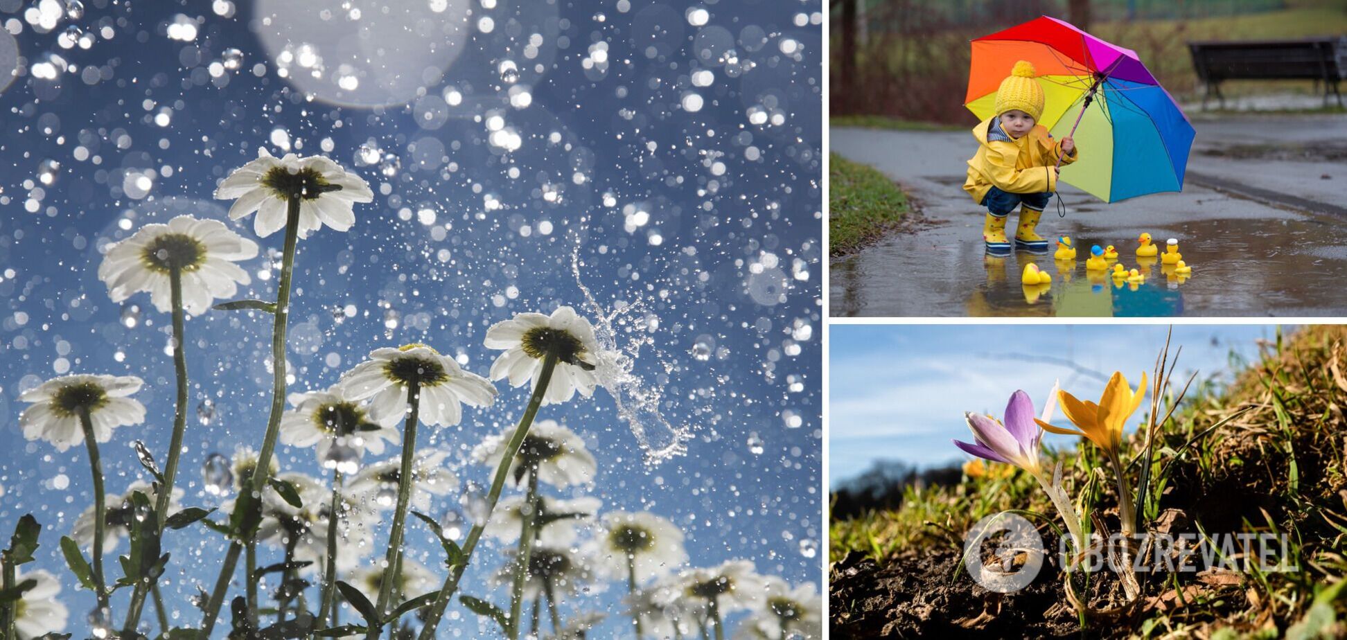 В Україні погіршиться погода: два циклони принесуть похолодання, дощі та мокрий сніг