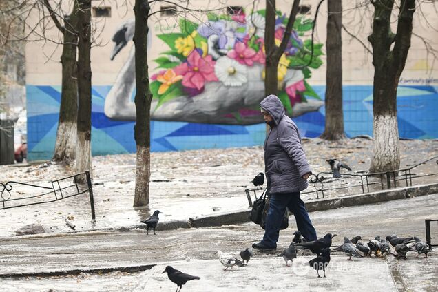 В Украину возвращаются холода и снег: где пройдут осадки. Карта