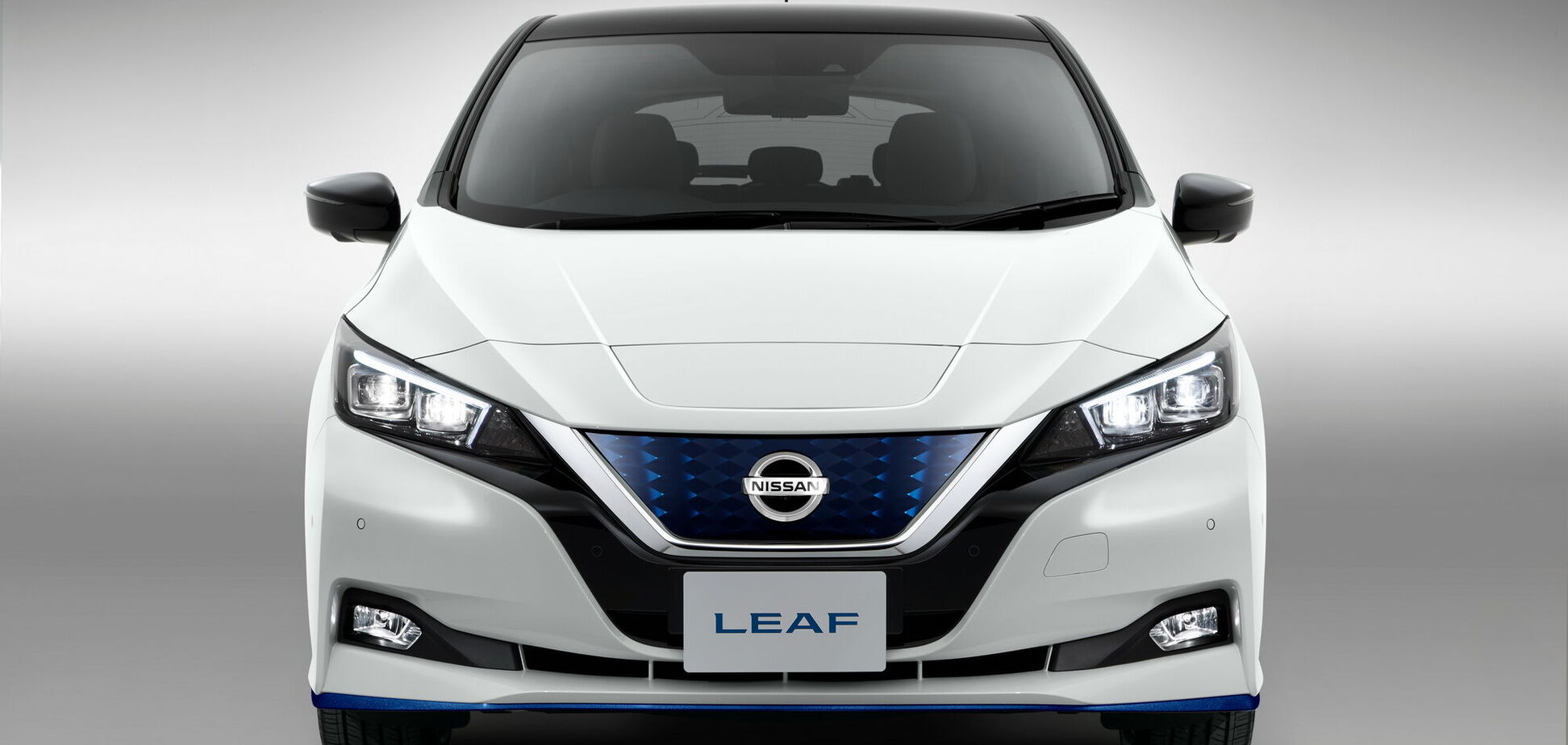 Электромобиль Nissan Leaf будет официально продаваться в Украине