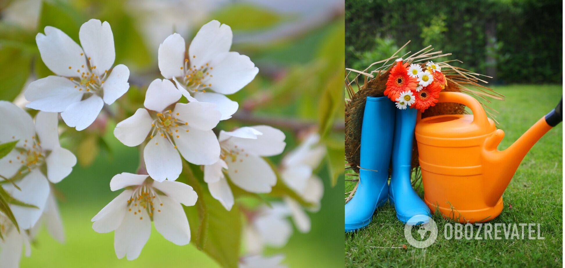 Посевной календарь на май 2021 года Украина