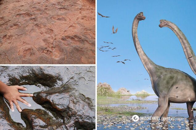 У Китаї виявили 'танцпол динозаврів'