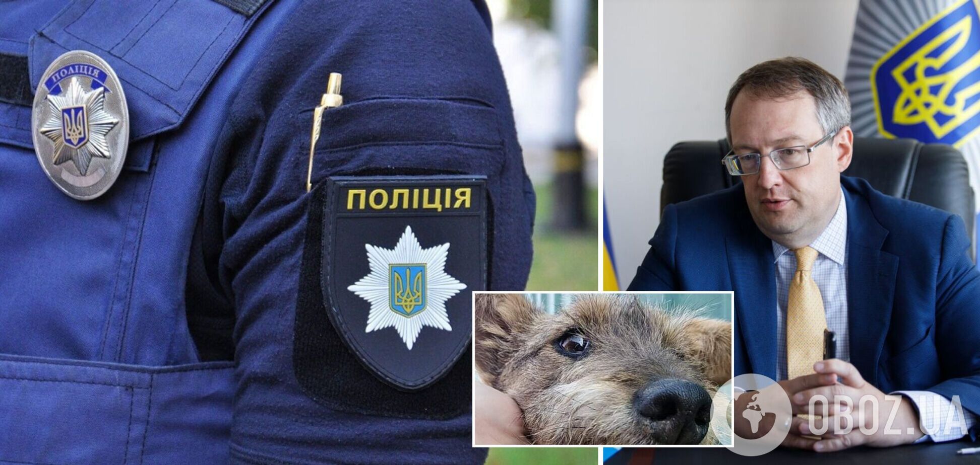 На Виннитчине живодер убил трех собак: Геращенко пообещал наказать 'подонка'