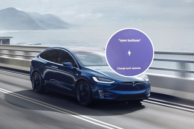 Tesla відгукнулася на непристойну команду: люди із захопленням тестують її на відео