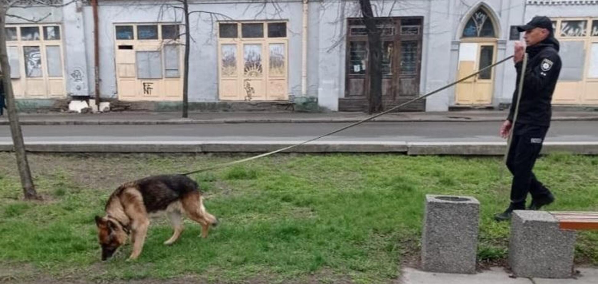 В Киеве служебная овчарка помогла полицейским задержать рецидивиста. Фото