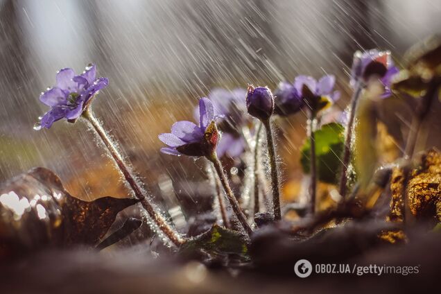 Погода в Україні