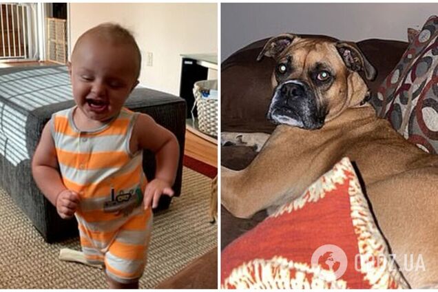 Малюк зі сміхом спародіював собаку і став зіркою мережі. Відео