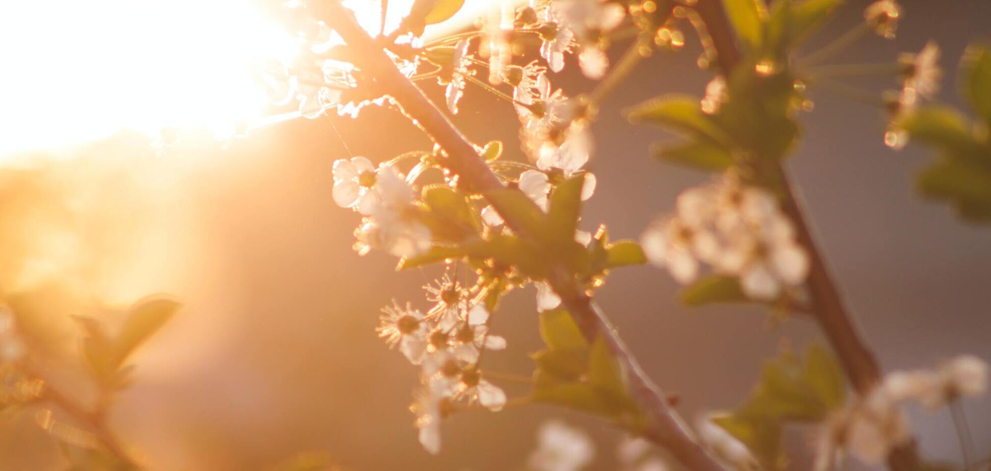 15 квітня: що не можна робити на Тіт Льодолам, прикмети й іменинники