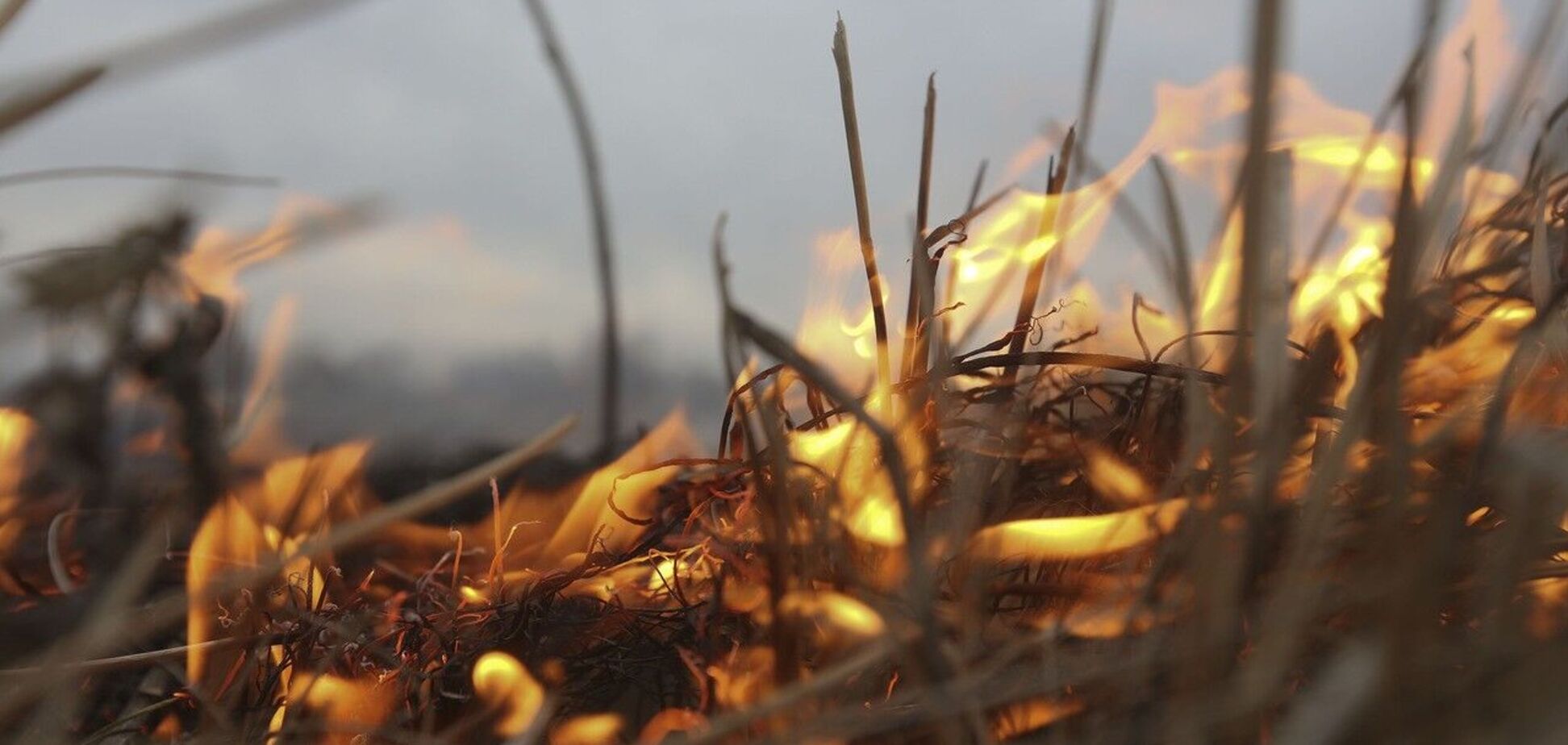 Вибух трапився під час спалювання листви