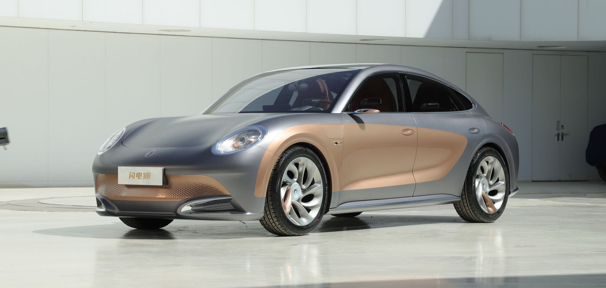 Beetle скрестили с Panamera и получили Ora Conceptcat