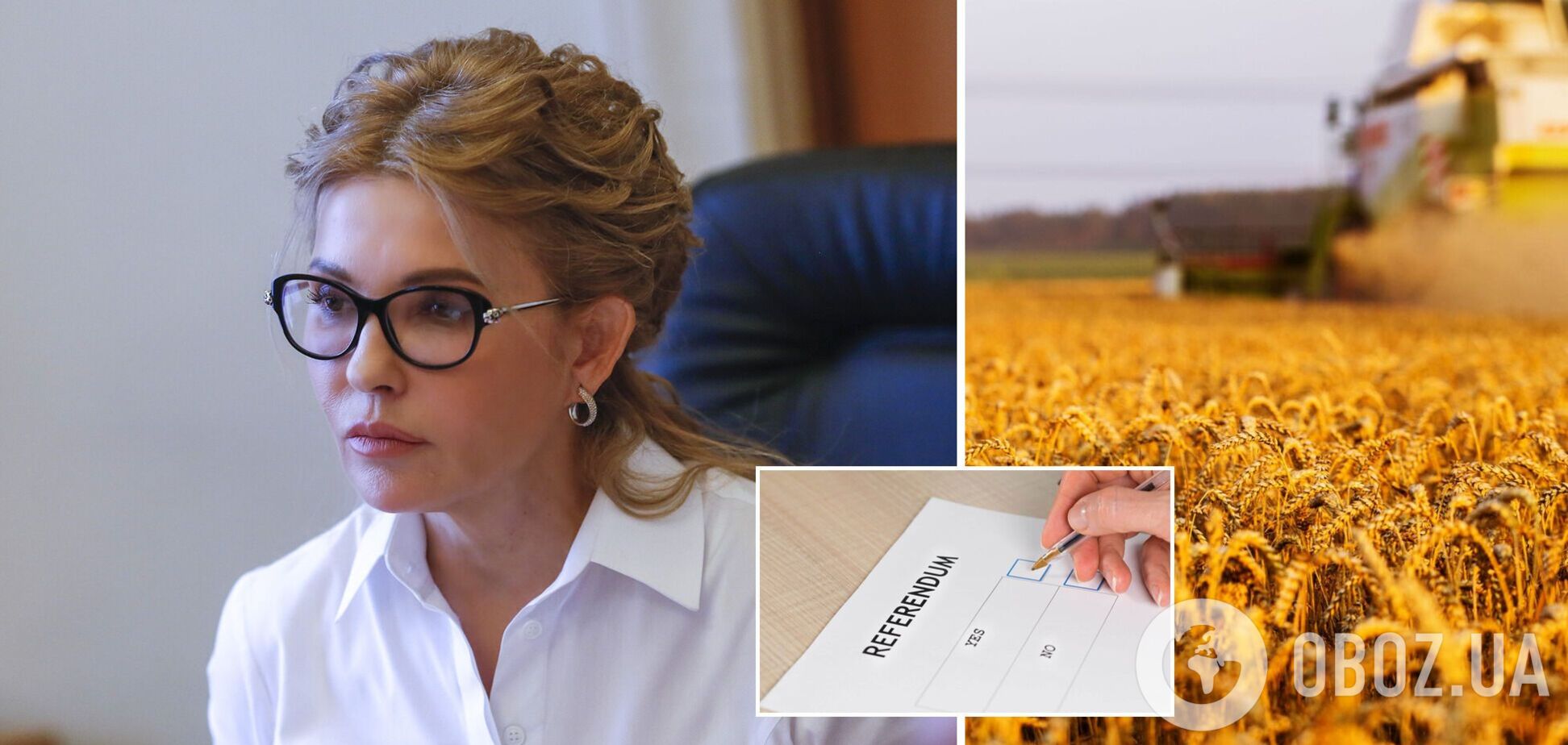 Земельный референдум 'Батьківщини' ко времени, – эксперт