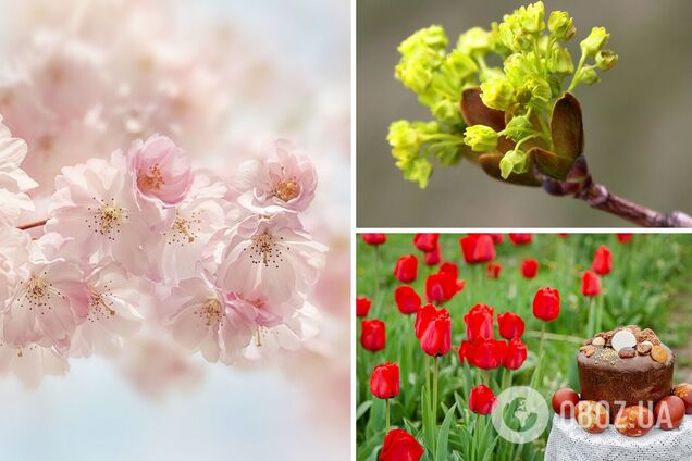 В Україну йде циклон, погода на травневі свята не порадує: синоптикиня озвучила прогноз