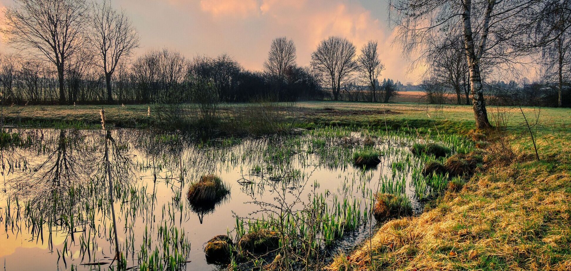 20 апреля: праздники, приметы на Акулинин день и именинники