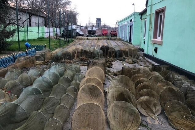 На Херсонщині браконьєри виловили риби та креветок на понад 2 млн грн