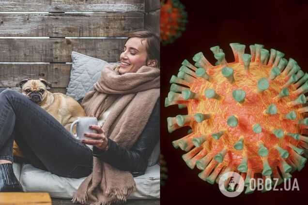 Cобак і кішок запідозрили в причетності до появи британського штаму COVID-19