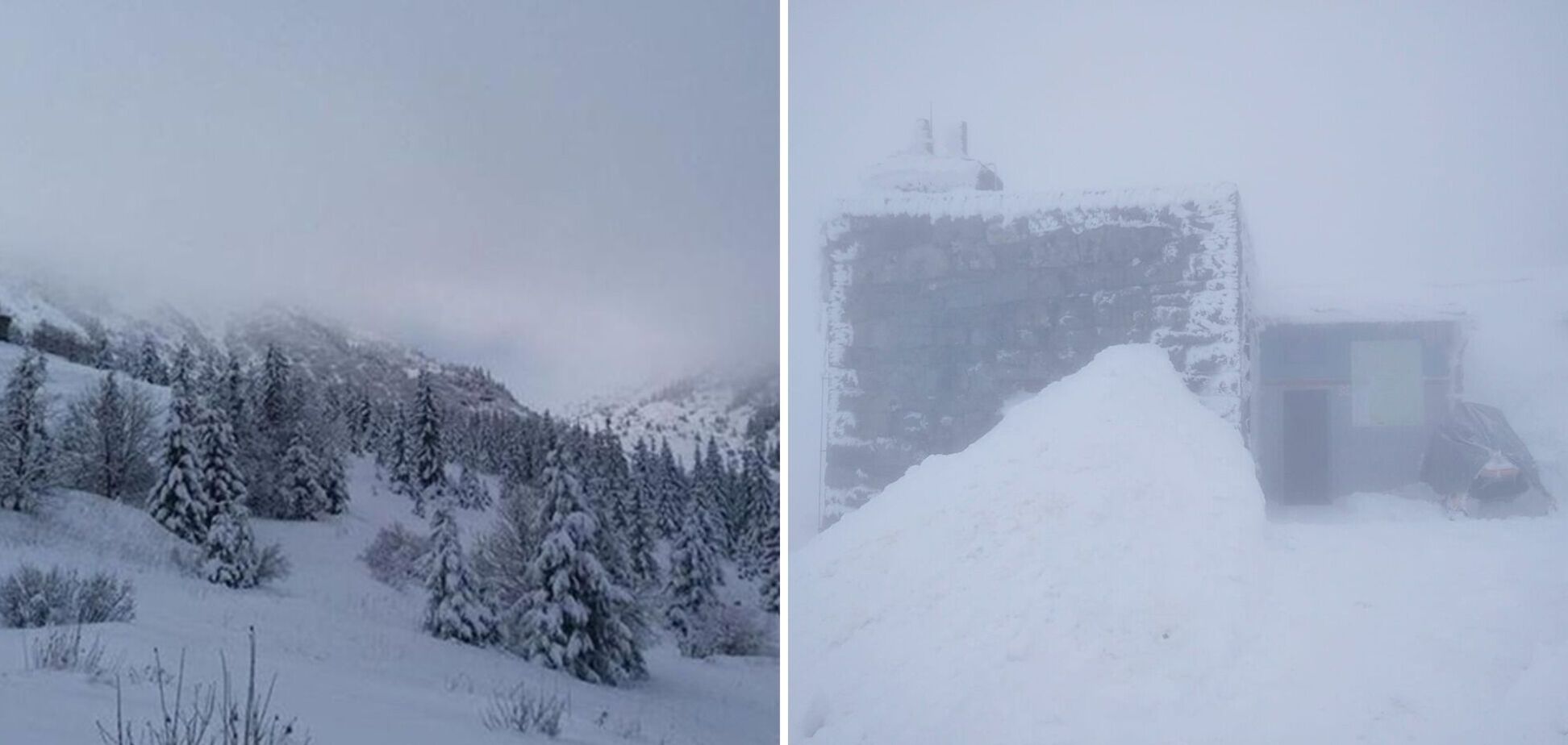 Карпаты засыпало снегом: объявлен третий уровень опасности. Фото